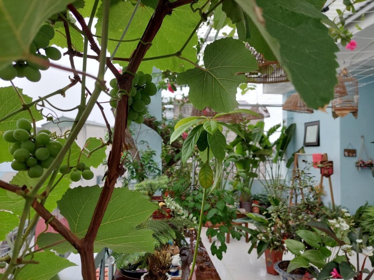 Alley Homestay Hanoi Zewnętrze zdjęcie